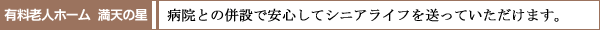 LVlz[@V̐